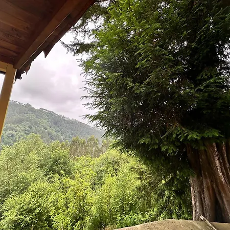 Vakantiehuis La De La Lechuza *